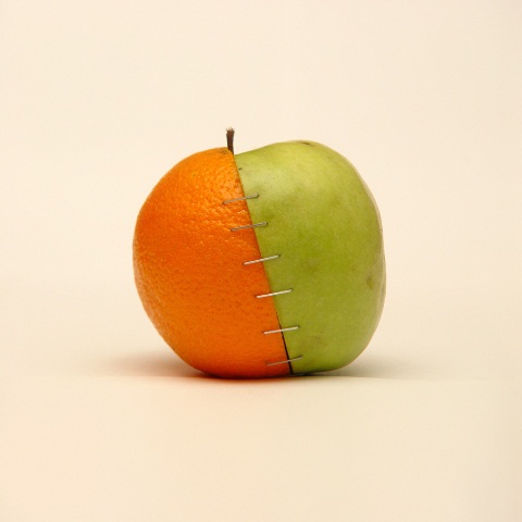 Genetically_Modified_Food