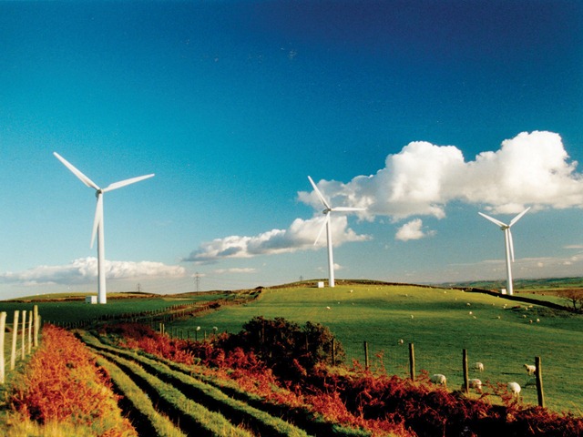 Wind_Farm