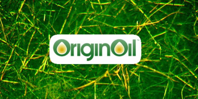 originoil_algae