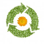 life cycle analysis