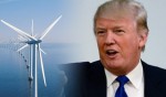 donald-trump-wind-power