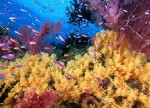 okeanos