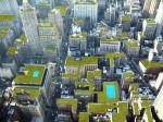 green roof
