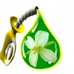 Biofuel