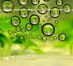 biofuel02