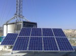 sunlight new partner