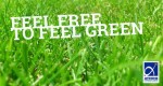 Feel Free to Feel Green