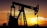 petrelaio