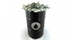 oil_barrel6101419344465
