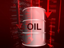 se-eleutheri-ptwsi-i-timi-tou-petrelaiou.w_hr