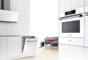 bosch[2]