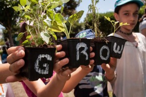 grow greenpeace