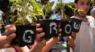 grow greenpeace