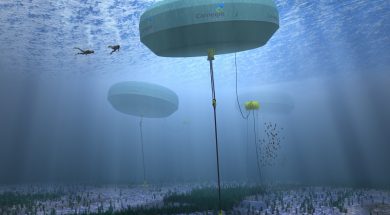 wave-energy