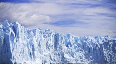 artic