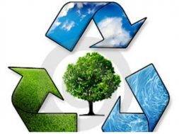 14088668e0e23e57af516f0077cf95c7_XL