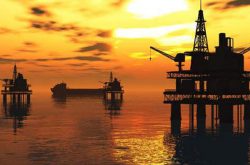 petrelaio-1
