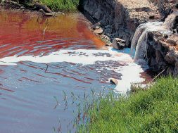 assets_LARGE_t_420_26315536