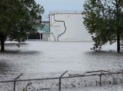 harvey10-thumb-large