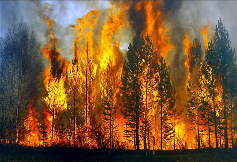 ΓΓΠΠ: Πολύ υψηλός κίνδυνος πυρκαγιάς για 5 Περιφέρειες