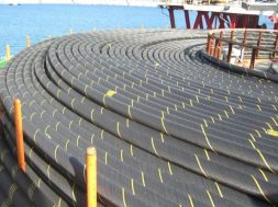 91d048d45349c294862a0f13dc2e6501_XL