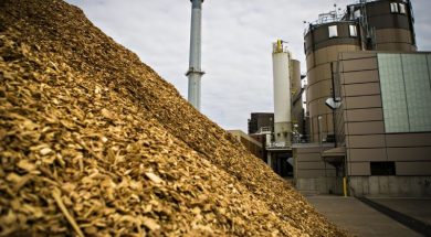 Biomass_plant-700ko