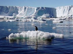 2016-12-05T214455Z_542976138_RC16D09E9A10_RTRMADP_3_CLIMATECHANGE-ICE