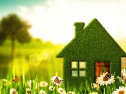 green-house