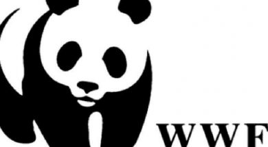 wwf-hellas-eco2nomy_0