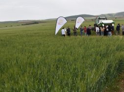 01. Programma Ellinikou Sitou Misko _ Episkepsi ston Pilotiko Agro _ 03.05.2018