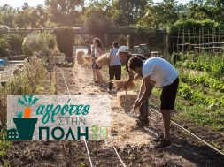 Αγρότες στην πόλη