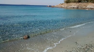 saronida