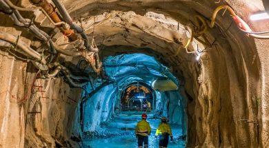 metalleia kassandras