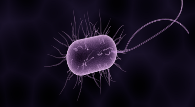 bacteria-1200-1200×643