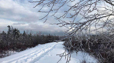 winter