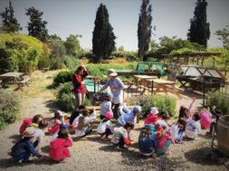 OrganizationEarth_kids