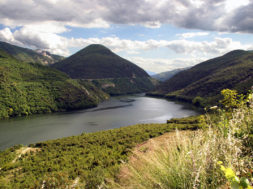 22_PHOTO