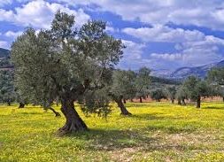 αρχείο λήψης (1)