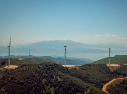 ΦΩΤΟ ΚΟΥΡΟΜΑΝΤΡΙ ΡΙΓΑΝΟΛΑΚΑ ΑΙΟΛΙΚΟ ΠΑΡΚΟ VOLTERRA