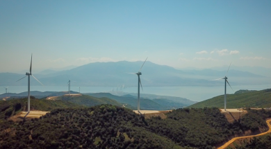 ΦΩΤΟ ΚΟΥΡΟΜΑΝΤΡΙ ΡΙΓΑΝΟΛΑΚΑ ΑΙΟΛΙΚΟ ΠΑΡΚΟ VOLTERRA