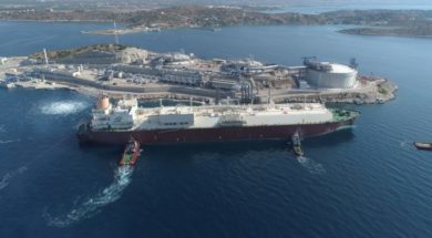 qflex qatargas lng