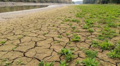 8af2902b-climate-change-01