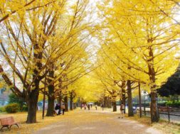 november