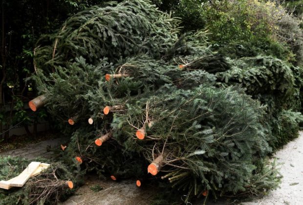 Μ. Γεράνης: Κανένα Χριστουγεννιάτικο δέντρο στους ΧΥΤΑ