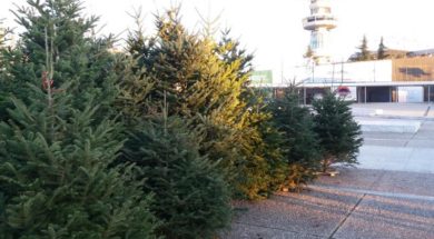 xristoygenniatiko dentro