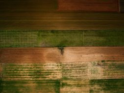 dji_0340i_0
