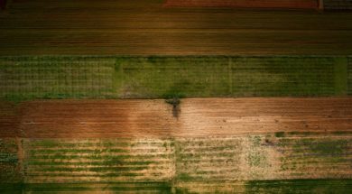 dji_0340i_0