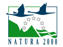 Diktyo_Natura