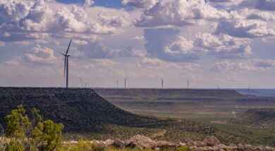 HighLonesome-Thurs-Misc-3475