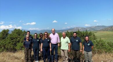 kostis-xatzidakis-sxinias